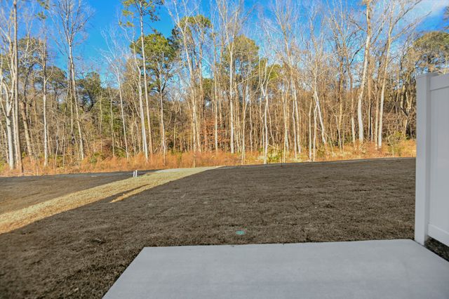 7926 Triggerfish Way, Charleston, SC 29420