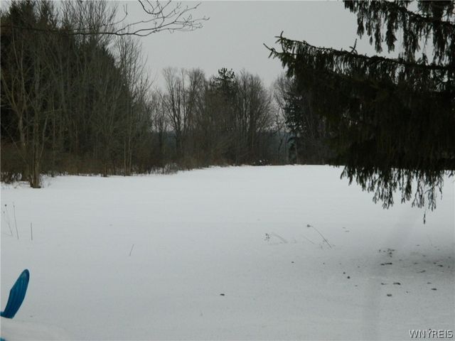 3755 Eckhardt Road, Eden, NY 14075