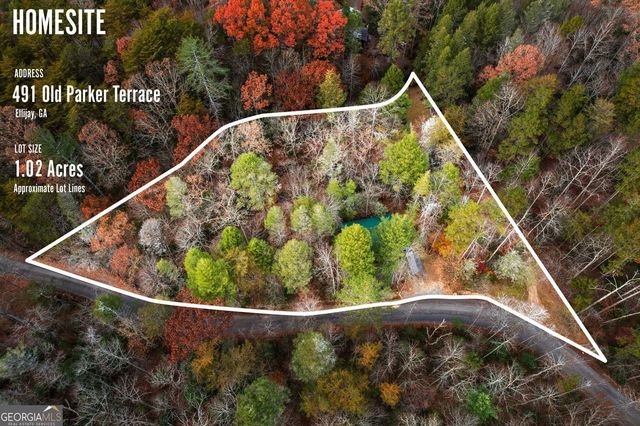 491 Old Parker Terrace, Ellijay, GA 30536