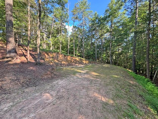 Lots2329 S Whitepath Circle, Ellijay, GA 30540