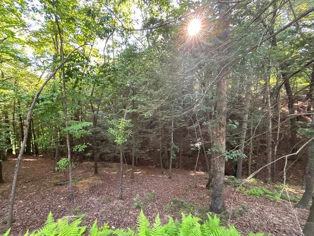 Lots2329 S Whitepath Circle, Ellijay, GA 30540