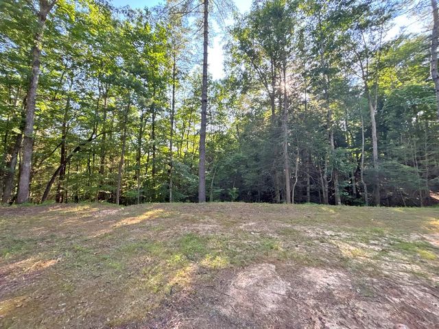 Lots2329 S Whitepath Circle, Ellijay, GA 30540