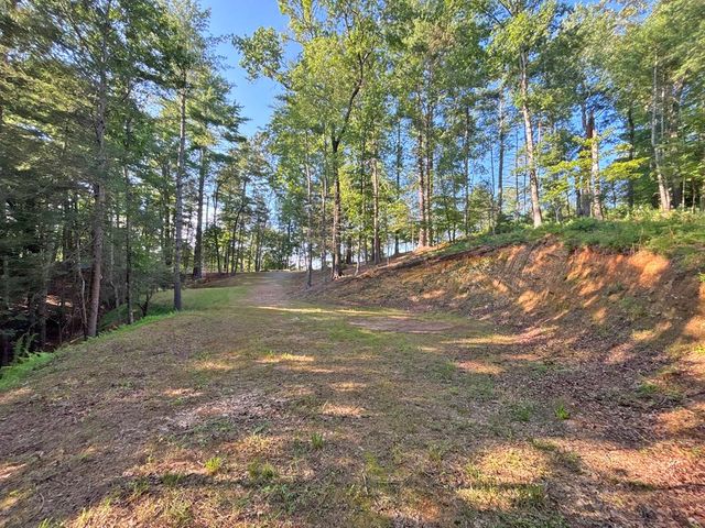 Lots2329 S Whitepath Circle, Ellijay, GA 30540