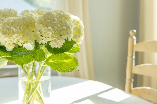 303 Shawnee Trail, Chattanooga, TN 37411