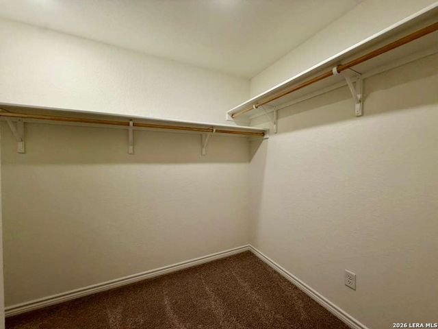 7919 Mariposa Manor, San Antonio, TX 78253