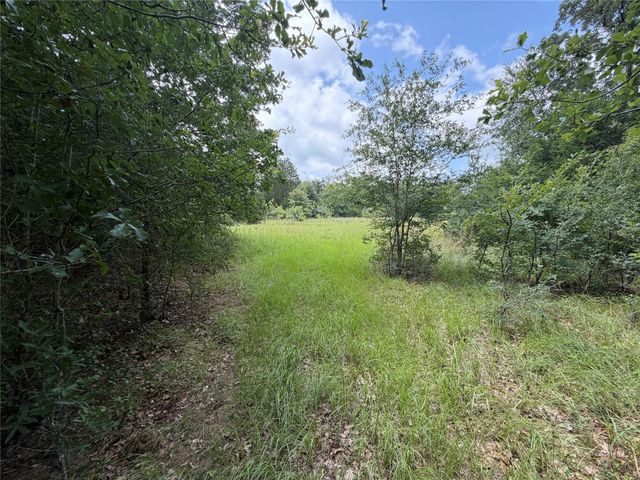 0 Lcr 758, Thornton, TX 76687