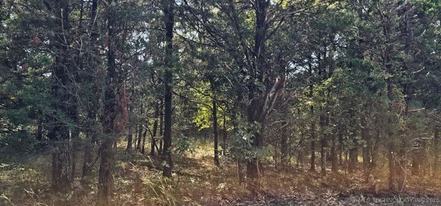 00000 994 Road, Gore, OK 74435