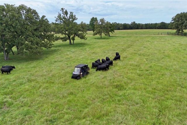 705 Antioch Road, Paige, TX 78659