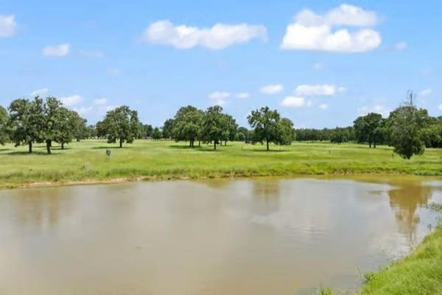 705 Antioch Road, Paige, TX 78659