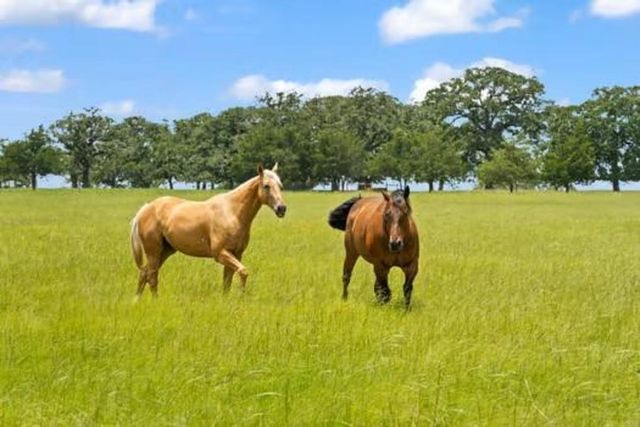 705 Antioch Road, Paige, TX 78659