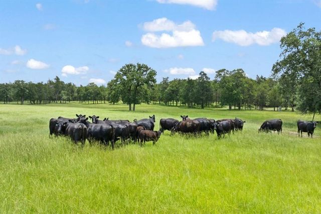 705 Antioch Road, Paige, TX 78659