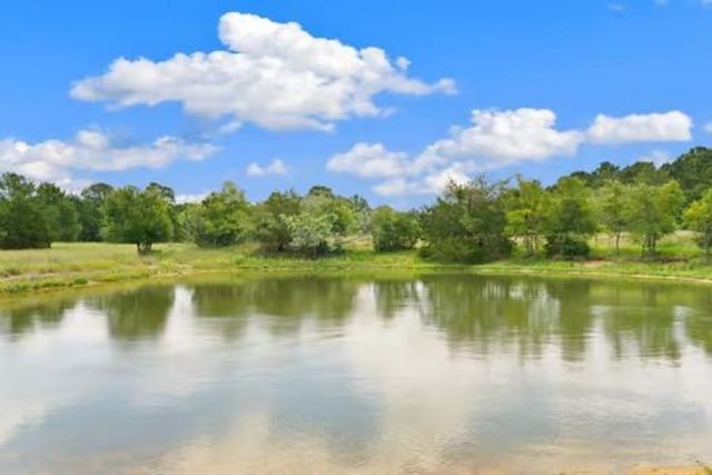 705 Antioch Road, Paige, TX 78659