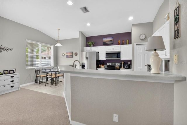 11023 HOLLY CONE DRIVE, Riverview, FL 33569