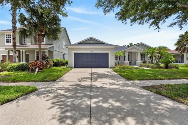 11023 HOLLY CONE DRIVE, Riverview, FL 33569