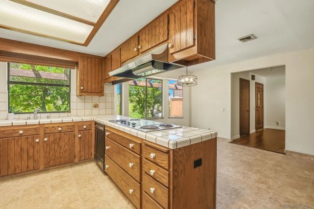 9907 Anderson Ranch Rd, Descanso, CA 91916