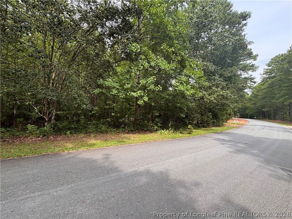 265 Fairway Lane, Sanford, NC 27332 — photo 2