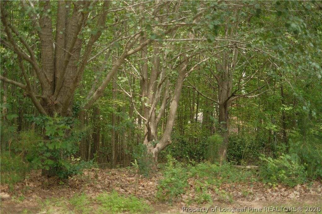 265 Fairway Lane, Sanford, NC 27332 — photo 3