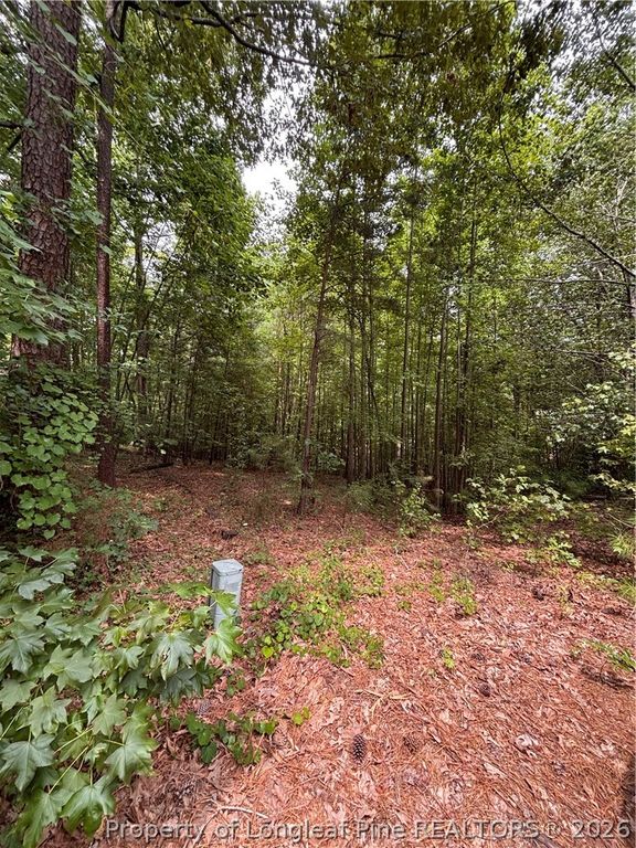 265 Fairway Lane, Sanford, NC 27332 — photo 4