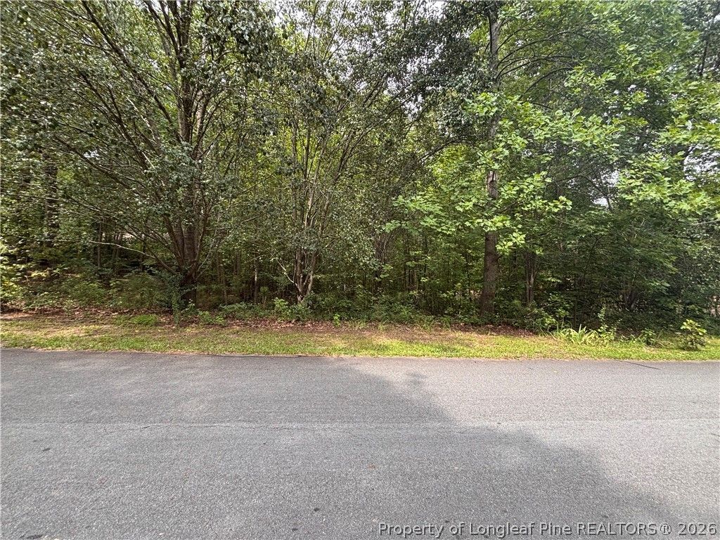 265 Fairway Lane, Sanford, NC 27332 — photo 5