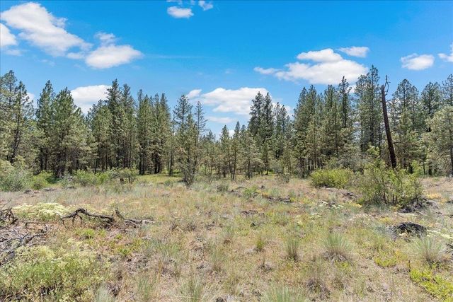 5339 W Anderson Rd, Cheney, WA 99004