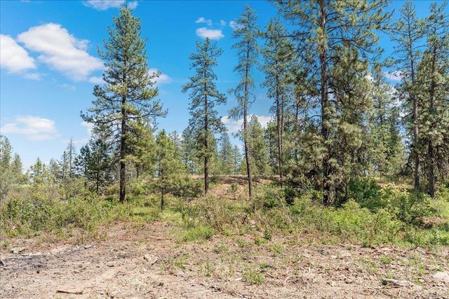 5339 W Anderson Rd, Cheney, WA 99004