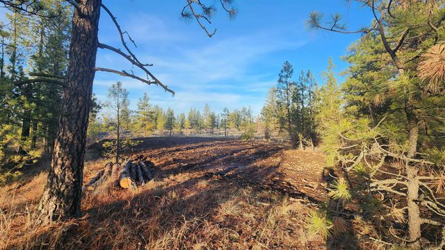 5339 W Anderson Rd, Cheney, WA 99004