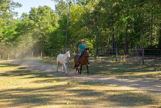 177 Muddy Branch Road, Aiken, SC 29805
