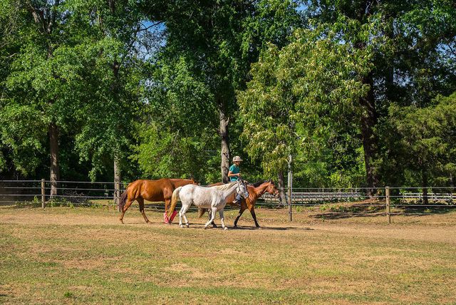 177 Muddy Branch Road, Aiken, SC 29805