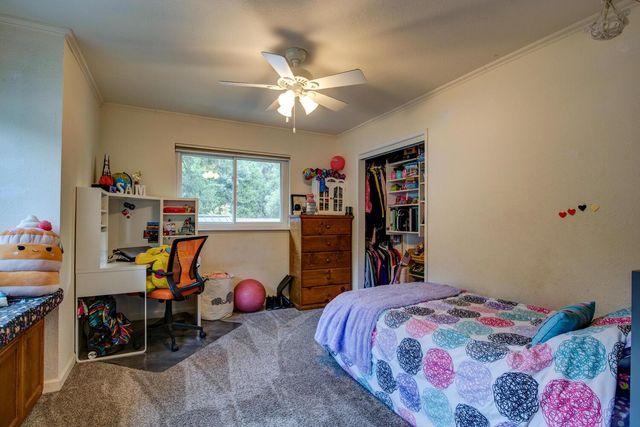 23832 Old Madrone Rd, Pioneer, CA 95666