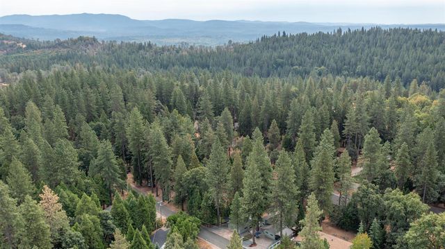 23832 Old Madrone Rd, Pioneer, CA 95666