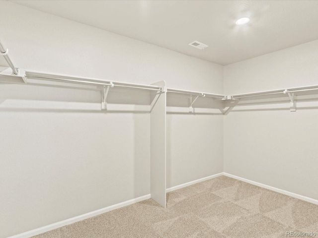 851 Forest Canyon Rd, Severance, CO 80550