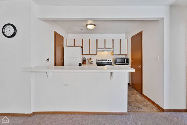 1351 Cunat Court 2D, Lake In The Hills, IL 60156