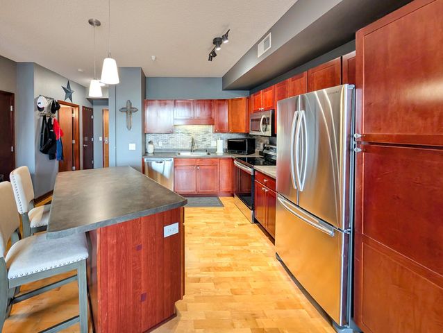 308 E 18th Street 305, Minneapolis, MN 55404
