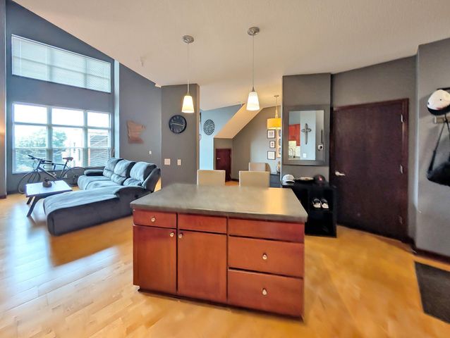 308 E 18th Street 305, Minneapolis, MN 55404