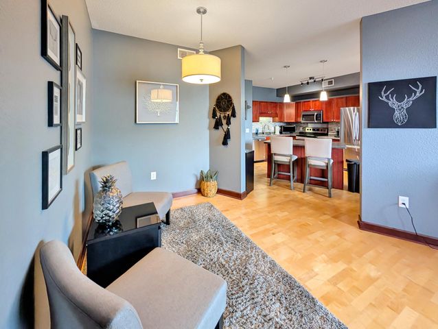 308 E 18th Street 305, Minneapolis, MN 55404