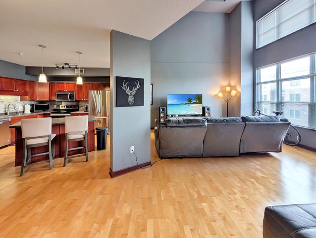 308 E 18th Street 305, Minneapolis, MN 55404