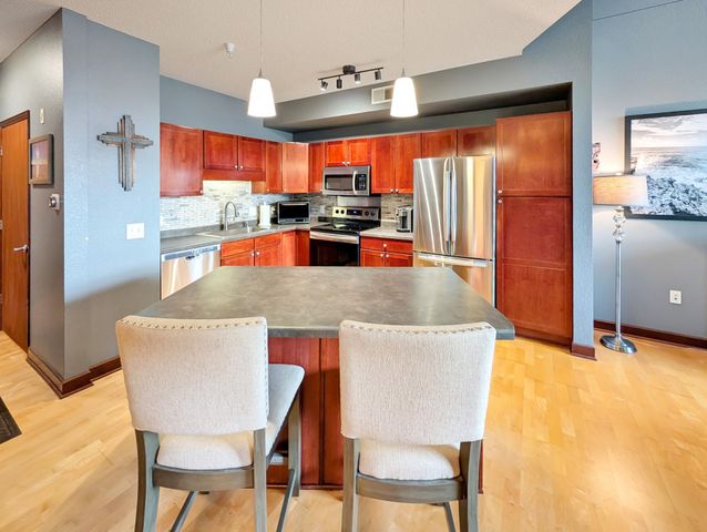 308 E 18th Street 305, Minneapolis, MN 55404