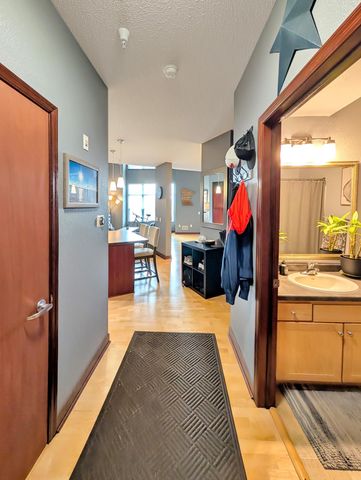 308 E 18th Street 305, Minneapolis, MN 55404
