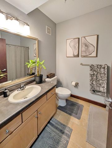 308 E 18th Street 305, Minneapolis, MN 55404