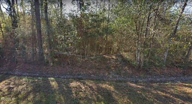 E Miami Drive, Pearlington, MS 39572