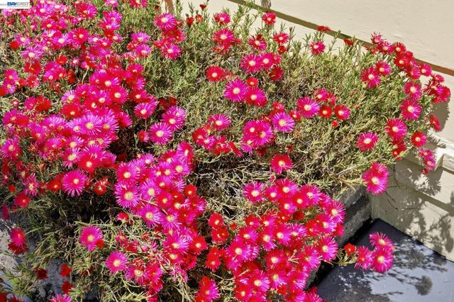 84 OAKES BLVD, San Leandro, CA 94577