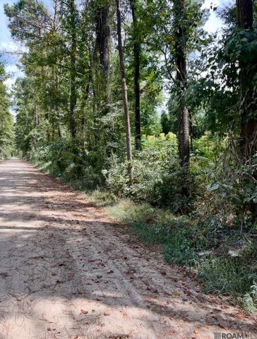 J.h. Jenkins Ln, Denham Springs, LA 70706