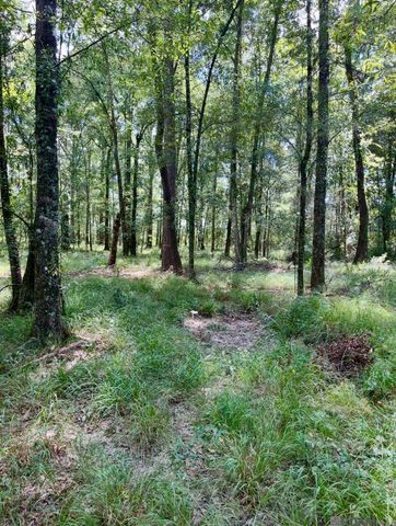 J.h. Jenkins Ln, Denham Springs, LA 70706