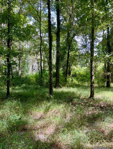 J.h. Jenkins Ln, Denham Springs, LA 70706
