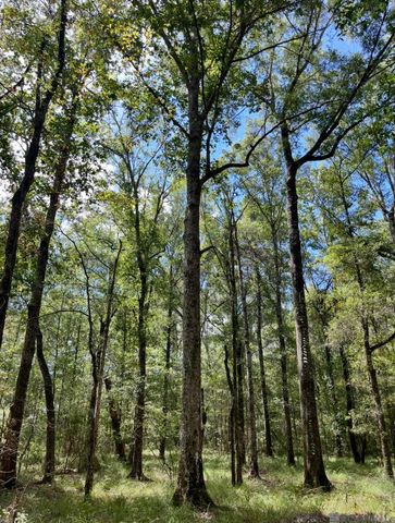 J.h. Jenkins Ln, Denham Springs, LA 70706