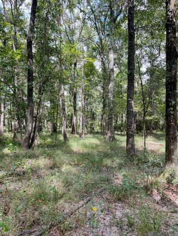 J.h. Jenkins Ln, Denham Springs, LA 70706