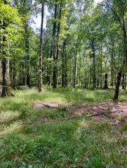 J.h. Jenkins Ln, Denham Springs, LA 70706