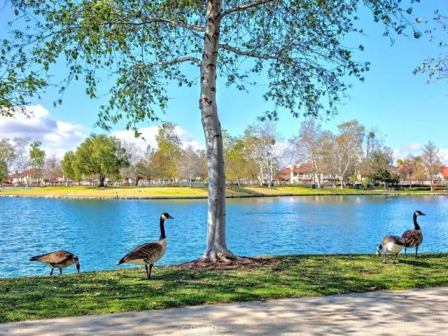 23 Paseo Estrellas, Rancho Santa Margarita, CA 92688