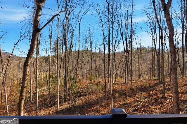 8165 Bridge Creek Road, Tiger, GA 30576