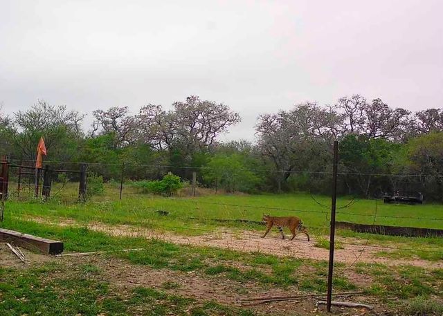 10423 State Highway 21 W, Crockett, TX 75835